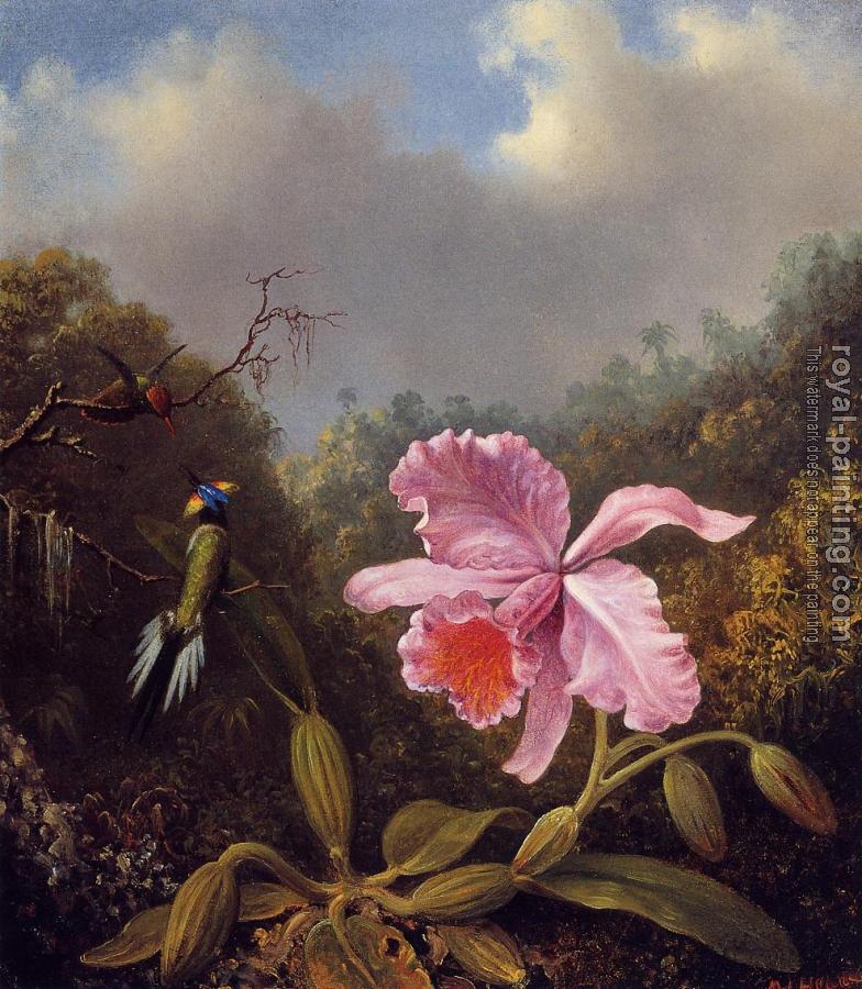 Martin Johnson Heade : Fighting Hummingbirds with Pink Orchid